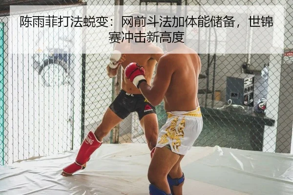陈雨菲打法蜕变：网前斗法加体能储备，世锦赛冲击新高度